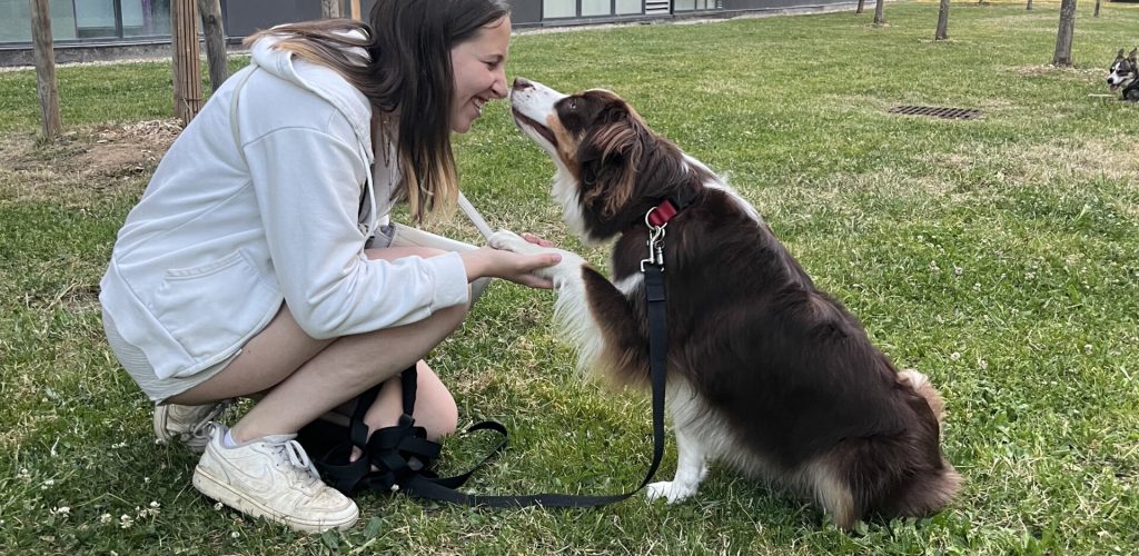 Uta, Berger Américain et chien partenaire de l'éducatrice canine Uta'titude